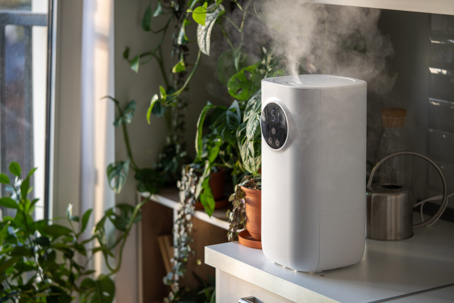 A white humidifier is on a counter, adding moisture to the air near plants.